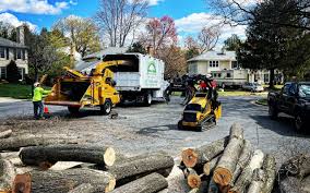 Artificial Turf Installation in Ambler, PA